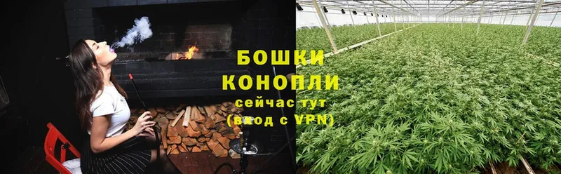 даркнет формула  продажа наркотиков  Заинск  Бошки Шишки THC 21%  MEGA ССЫЛКА 